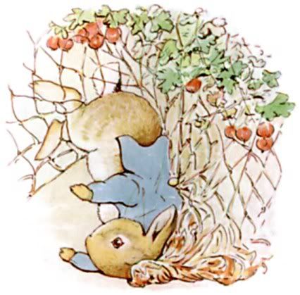 peter rabbit story