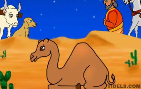 how the camel got his hump