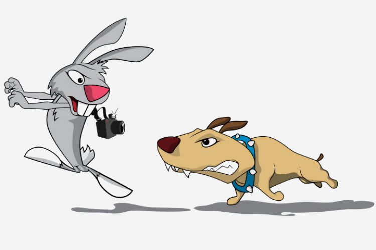 the hare and the hound