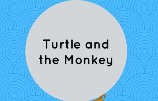 the monkey and the turtle